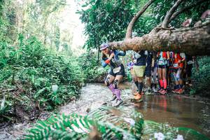 BIB: 
                            <button type="button" onclick="openModal(25471565)" class="btn btn-primary btn-sm float-right btn-popup" data-toggle="modal" data-target=".modal-high-quality">
                        <i class="fas fa-shopping-cart"></i> Add to Cart
                    </button>
                                            <button type="button" onclick="isThisMe(25471565, true)" class="btn btn-success btn-sm float-right btn-popup btn-isme hidden" data-toggle="tooltip" data-placement="bottom" title="นี่คือรูปของคุณใช่ไหม คลิกที่นี่เพื่อเอาเข้าอัลบั้ม">
                        <i class="fas fa-plus"></i> Add to album
                    </button>
                    <button type="button" onclick="isThisMe(25471565, false)" class="btn btn-warning btn-sm float-right btn-popup btn-isnotme hidden">
                        <i class="fas fa-ban"></i> Remove from album
                    </button>